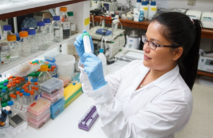 Newton-Paulet Fund: Call for collaborative research proposals in Peru