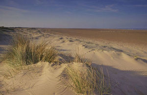 sand dune at Saltfleetby in Lincolnshire