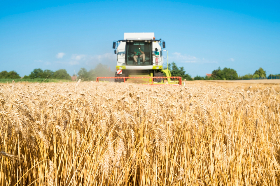 Efficient and sustainable agriculture: apply for funding ...