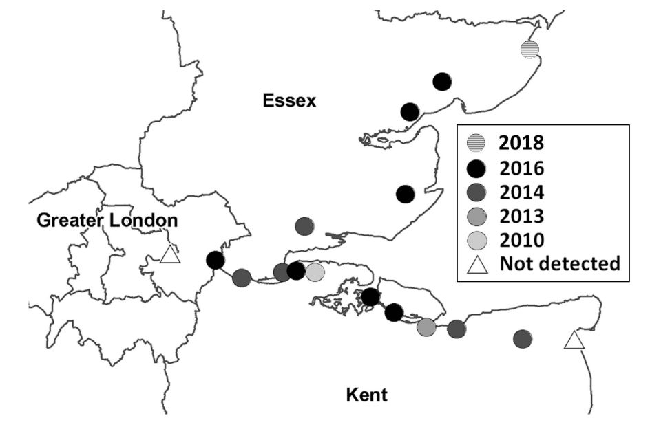 Map showing known distribution of Culex modestus mosquitoes in south-east England