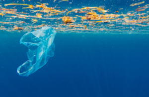 Plastic carrier bag floating in the sea