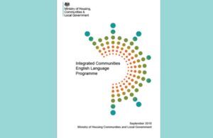 English as a Contact Language (Studies in English Language)