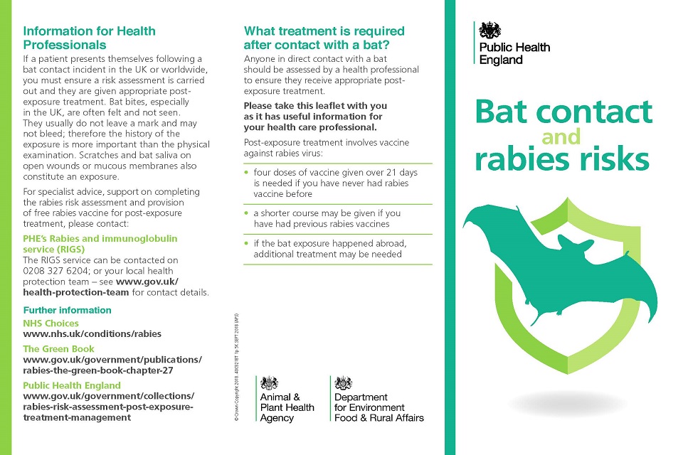 Bat contact and rabies risk leaflet