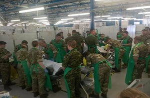 2 casualties being dealt with simultaneously in the emergency department bay at AMSTC by British (205 and 256 Fd Hosp's), Canadian, Estonian and German medical personnel.