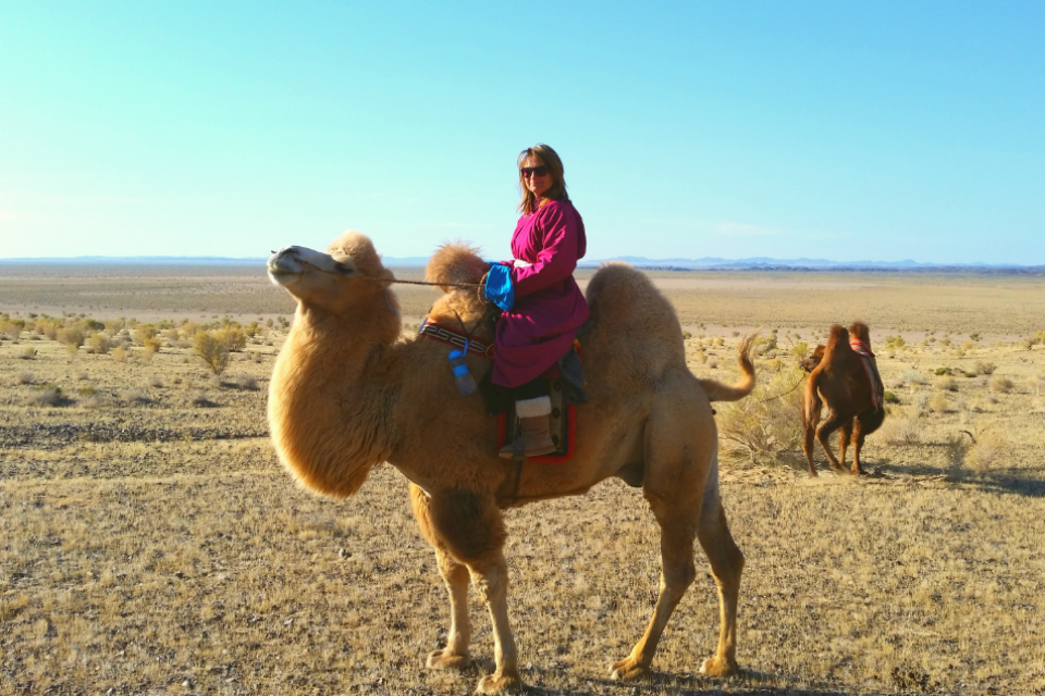 Former Ambassador to Mongolia Catherine Arnold on her 'flag' camel