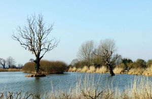 Willow lake, Bodham