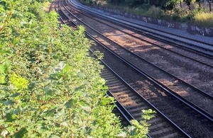 Picture of tree by a railway line.