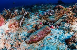 An old non-biodegradable plastic bottle on the sea bed of a coral reef via Richard Whitcombe at Shutterstock