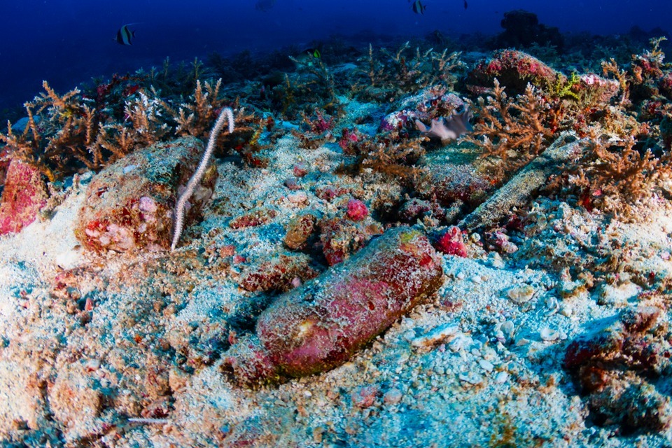 New Investment For Businesses To Tackle Ocean Plastics