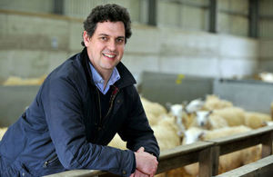 Professor David Main leaning on the fence of a sheep pen.