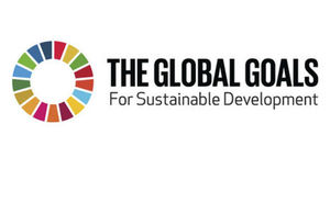 SDG logo