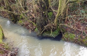 Image shows the black liquid discharging into the stream
