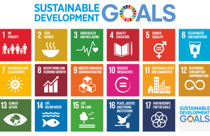 SDG logo