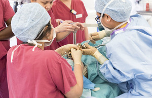 Staff in gowns and masks performing surgery in an operating theatre.