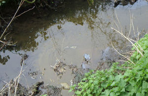 Picture shows section of shallow stream with slurry, foam and iridescence at the near bank