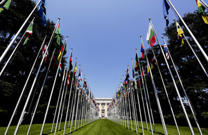 UN Geneva Flags