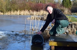 Image shows Paul Frear releasing fish into Greencroft Pond