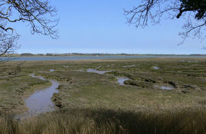 Looking north across the Stour from Copperas Woods