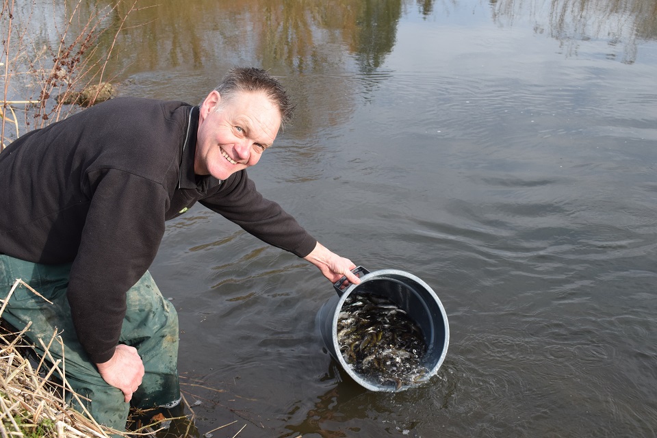 Image shows Paul Frear releasing roach into the River Skerne 