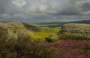 Image of Inglebrough National Nature Reserve