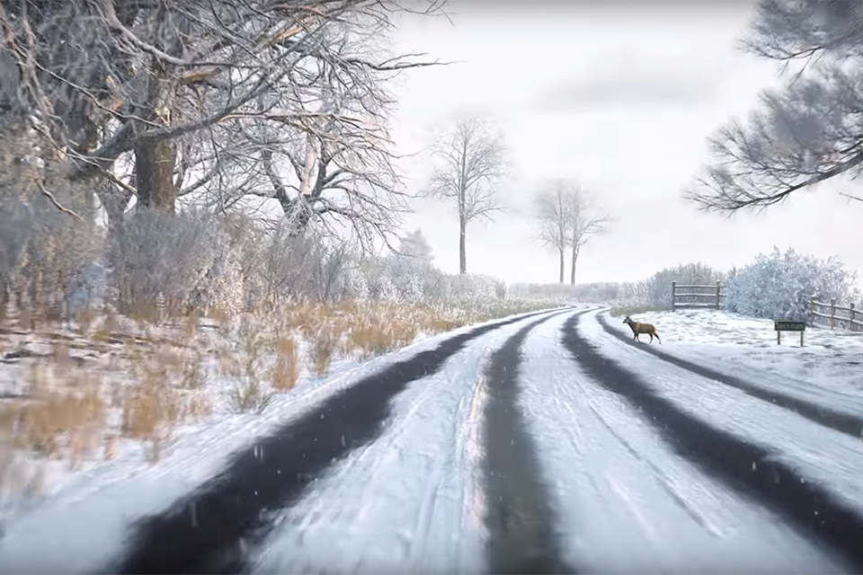 An image of a hazard perception test, featuring a road covered in snow, with a deer about the walk onto the road