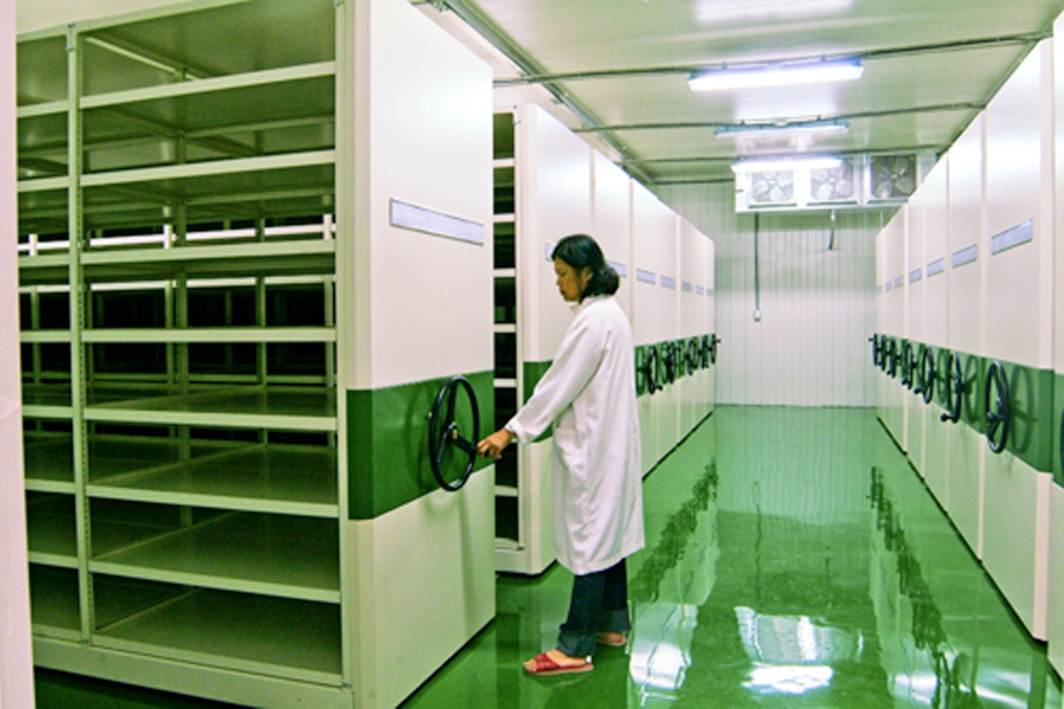 New storage room in the AVRDC Genebank