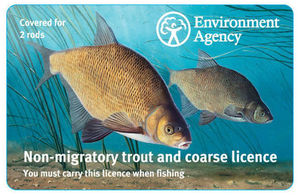 Fishing licence image
