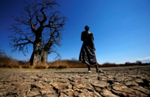 Maasai standing on cracked earth in front of Baobab tree