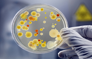 Scientist holding petri dish