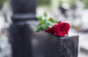 Red rose placed on a grave stone