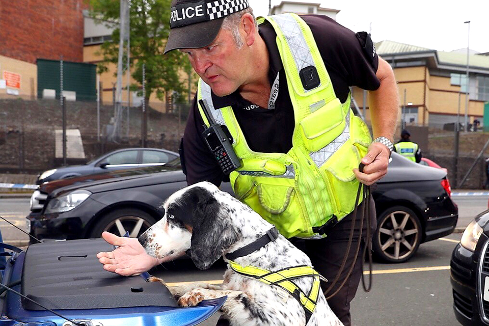 A police dog searches inside the rear of a vehicle, a police officer observes.