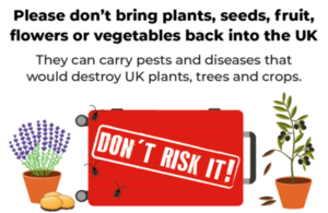 Don't Risk It campaign image with a suitcase, lavender, olive tree and potatoes