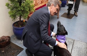 A photo of Animal Welfare Minister David Rutley meeting with Chase the dog at Mayhew rehousing centre