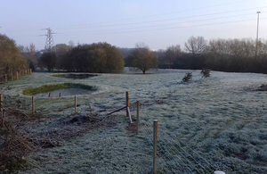 A new grassland and wetland with pond and trees in the frost