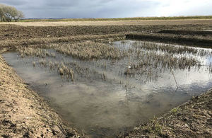 Small square patch of wetland amid farmland