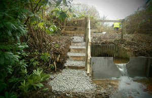 The polluting outfall near to Coombe