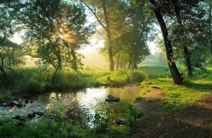 A river flowing through trees with sun shining through the trees onto the water