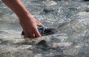 Filling up a bottle in a stream