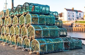 Piles of lobster traps