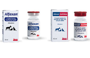 Alfaxan product packaging