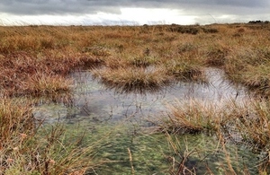 Bolton Fell Moss