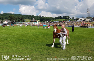 The Royal Welsh Show