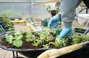 Offender doing gardening