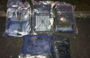 Traps set by Mr He on the River Derwent were used as evidence in court