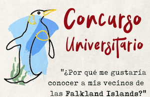 Arte Falklands