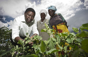 Plant doctors