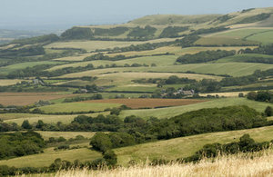 View from above of fields separated by woodland in English countryside