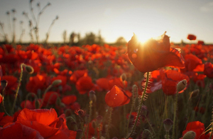 Remembrance Day in Thailand - Sunday 10 November 2019