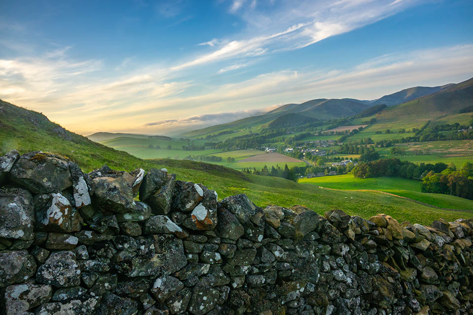 Landscape of green fields