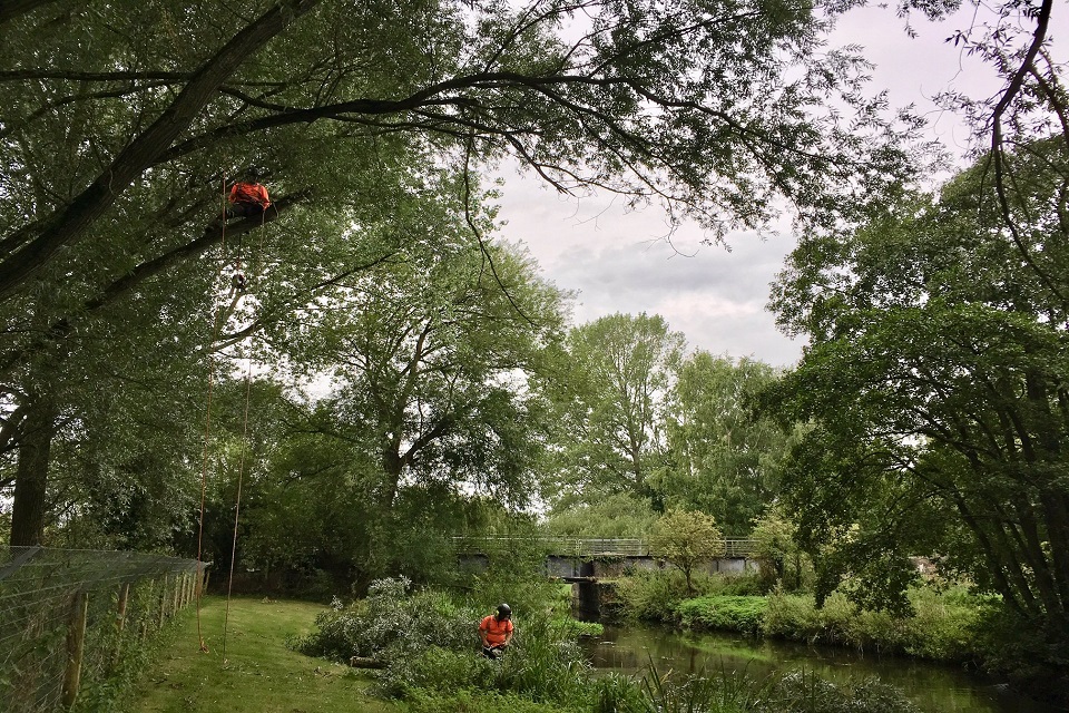 Specialist tree surgeons made broken branches safe and allowed daylight into the channel.